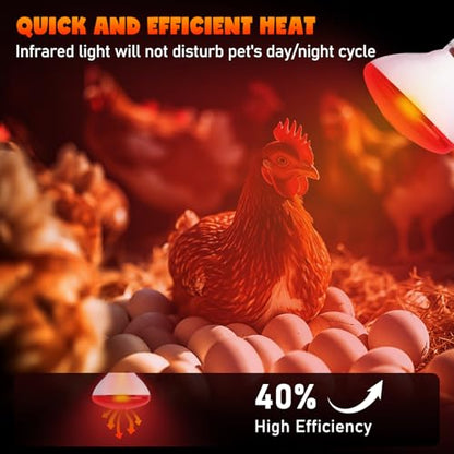 LUCKY HERP Heat Lamp Bulbs for Chickens, 150W Infrared Heat Lamp 1 Pack, Red Heat Lamp Bulbs for Reptiles, Pets, Brooder Coop and Poultry - style: 150 Watts 1 PACK