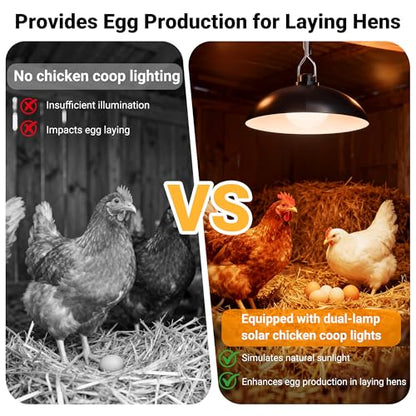redaica Solar Chicken Coop Light with Timer, 2 Lamps & Remote 3/5/8H Chicken Coop Accessories, 3 Brightness Levels Solar Lights for Chicken Coop, Waterproof Light for Sheds Barns, Stables, Duck Houses