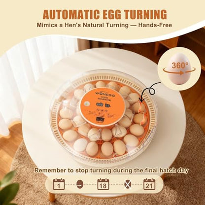 ZEMIRO CHARGE Serie II - 30 Egg Incubator for Experienced Hands-On Hatchers, Auto Egg Turn, Manual Humidity Control (Water Fill), Temperature Control, Real-Time Display, Egg Candler - size: 30-Egg Orange