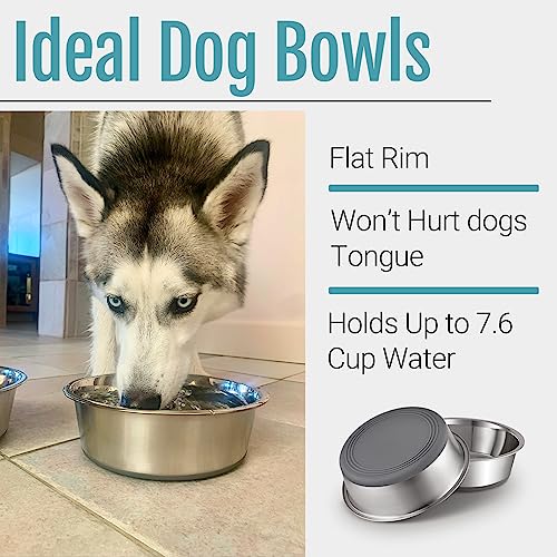 PEGGY11 Nonslip Stainless Steel Dog Bowls, 7.6 US Cup, 2 Count | No slide silicone bottom, Dishwasher safe, Easy to clean, Stackable design - size: 7.6 Cup