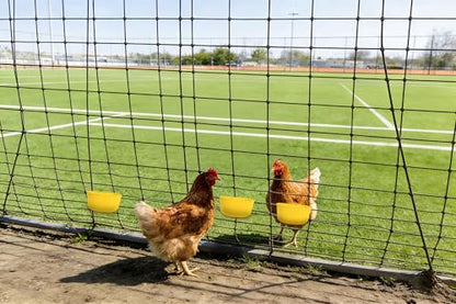 10pcs Cage Cups 25oz Feeder and Waterer Chicken Food Bowl, Hanging Rabbit Drinker Cup Yellow Bird Water Container with Hooks,Pet Feeding Dish for Small Animals - size: 10 Pack