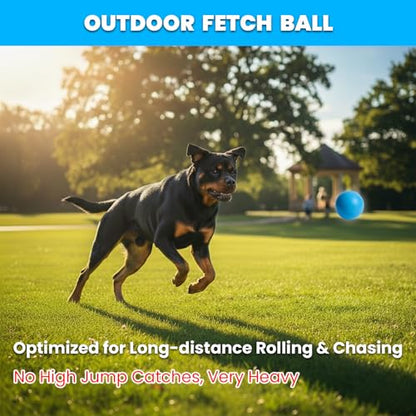Indestructible Dog Solid Rubber Ball for Aggressive Chewers, Durable Chew Toy for Large and Medium Breeds, 100% Natural Rubber, Tough & Bouncy for Outdoor Fetch Training (2.8" Blue)