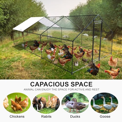 19.7'L x 9.8'W x 6.6'H Large Metal Chicken Coop Walk-in Chicken Runs Poultry Cage House Chicken Pen for Outdoor with Waterproof and Anti-Ultraviolet Cover - size: 19.7'L x 9.8'W x 6.6'H