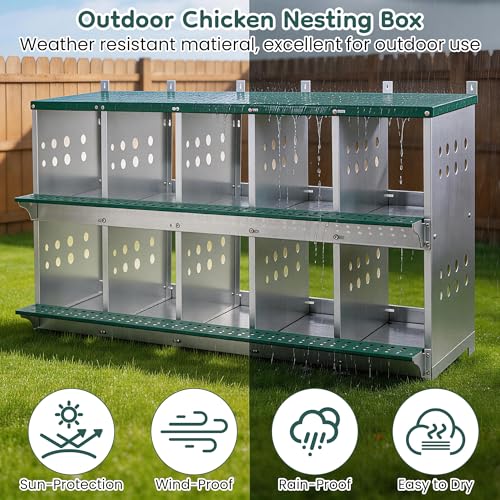 Yafylly 10-Bay Metal Nesting Box for Chickens & Ducks, Wall Mounted Galvanized Steel Coop with Ventilation and Easy Egg Collection