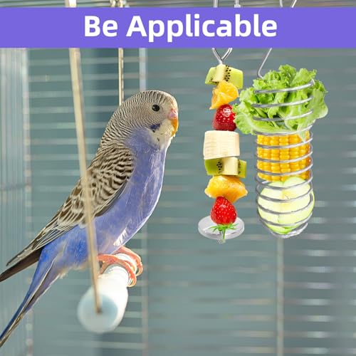 6Pcs Rat Enrichment Toys, Stainless Steel Rat Foraging Toy for Fruit Vegetable Holder, Bird Food Holder Hanging Slow Feeder Clip for Parrot Bird Rodents