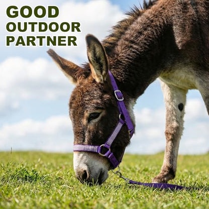 2 Set Miniature Donkey Halter with Lead Ropes, Cute and Stylish Adjustable Nylon Head Collar Set for Miniature Donkeys (Purple,Pink) - color: Purple,Pink