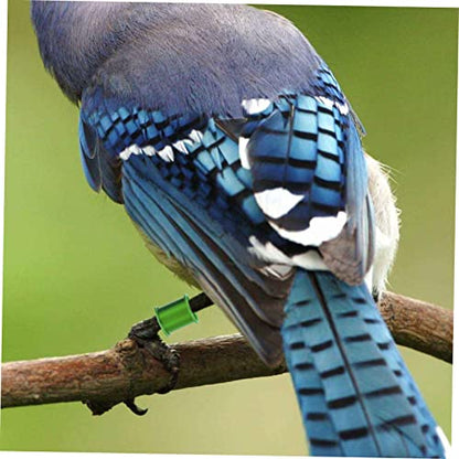 YARNOW 100pcs Sturdy Pigeon Tracking Accessories Aluminum Leg Bands for Racing Birds Random Color