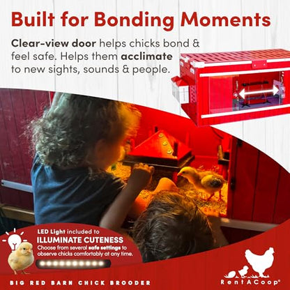 RentACoop Big Red Barn Chick Brooder | Durable, Lightweight, Easy-Clean, Multipurpose | with Absorbent Hatchling Liners, Jute Liners, LED Light, Security Latch