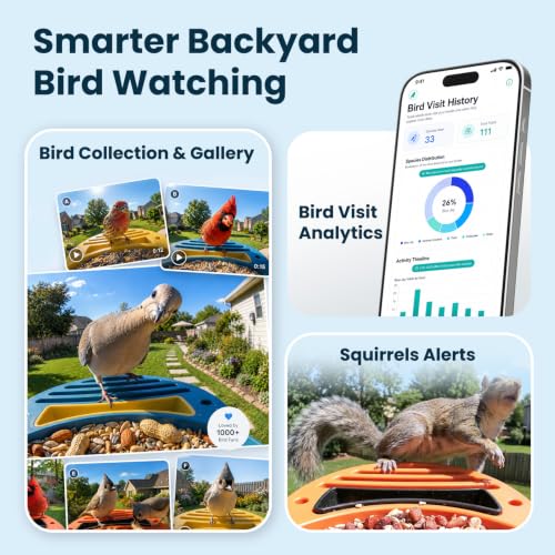 Smart Bird Feeder with Camera, Green | 2.5K UHD, AI Identifies 11,000+ Bird Species, Real-time Videos & Pictures, Solar Powered, Wireless for Outdoor, Gift - color: Green