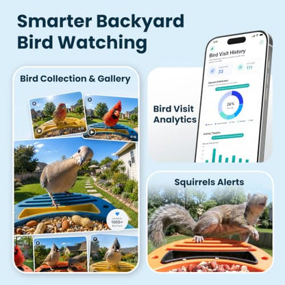Smart Bird Feeder with Camera, Green | 2.5K UHD, AI Identifies 11,000+ Bird Species, Real-time Videos & Pictures, Solar Powered, Wireless for Outdoor, Gift - color: Green