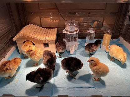 Chick Brooder,Brooder Box for Chicks,Brooder Heater Warms up to 25 Chicks (23″x17″x14″)