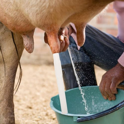 Silicone Milking Tube Connector for Cow and Sheep Milking Machine Food Grade for Dairy Farm Replacement