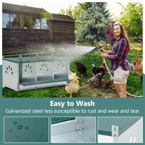 Durable Metal Chicken Nesting Box for Hens, Wall-Mounted Poultry Nest Box with Ventilated Design to Support Natural Laying Behavior (3-Hole,Green) - color: 3-Hole,Green