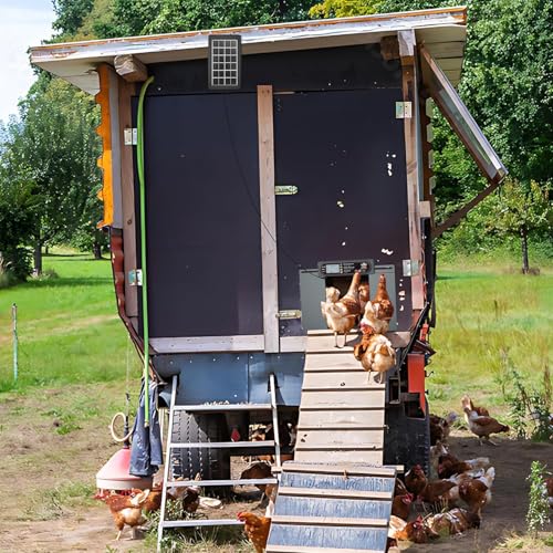 Automatic Chicken Coop Door with Horizontal Dual Opening, Remote & Manual Control, USB Backup, Predator-Proof Larger Opening Size House Door Solar Powered for Chicken, Duck and Poultry, Gray