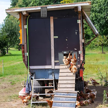 Automatic Chicken Coop Door with Horizontal Dual Opening, Remote & Manual Control, USB Backup, Predator-Proof Larger Opening Size House Door Solar Powered for Chicken, Duck and Poultry, Gray