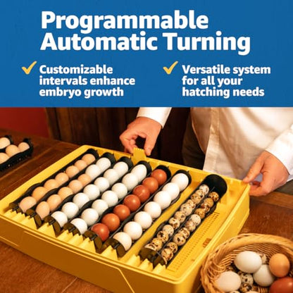 Brinsea Ovation 56 EX 56-Egg Incubator with Automatic Humidity Control - Incubators for Hatching Eggs with Digital Alarms - Programmable Turning for Chicken and Duck - style: Not Connected