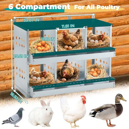 Yafylly Chicken Nesting Box 6 Compartments, Metal Chicken Laying Boxes Wall Mountable, Easy Egg Collection Roll Away Nesting Boxes Chicken, Chicken Coop Nesting Boxes for Hens Laying Eggs - color: Green, size: 6-Hole