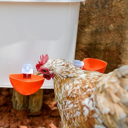Large Automatic Chicken Feeder and Waterer Set Hanging Chicken Water Feeder Poultry Feed Bucket - color: White, size: 2.6 Gal Feeder & Waterer