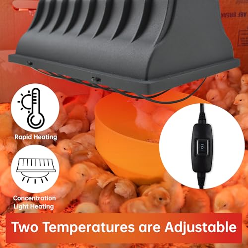 Chicken Coop Heater for Chicks,Brooder Heater with 2pcs Heat Lamp(250W and 175W),Adjustable Temp & Height Chicken Brooder Box Supplies for Chicken Livestock Dogs Sheep Pets - size: 1 Pack
