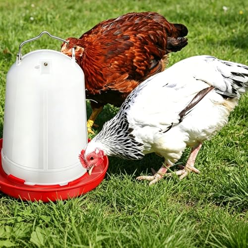 2-Pack 2 Gallon Plastic Poultry Gravity Chicken Waterer | Automatic Gravity Drinker Kit for Baby Chicks, Ducks, Turkeys, Coop & Outdoor Farm Use