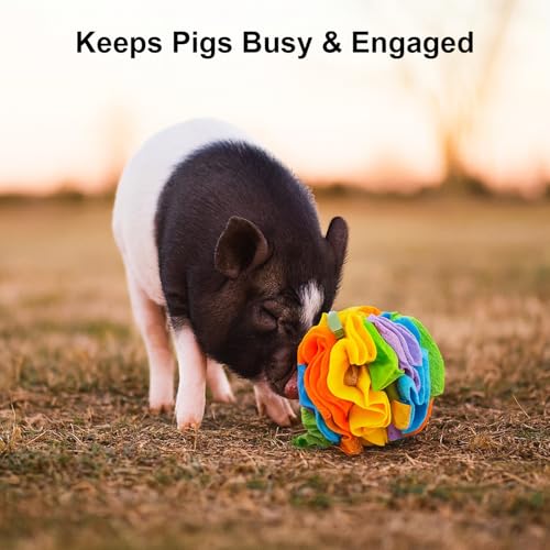 Pig Snuffle Mat and Snuffle Ball for Pigs – Pig Enrichment Toys for Mini Pigs, Potbellied Pigs & Farm Use – Interactive Foraging & Rooting Toy, Slow Feeding Pig Toys Accessories