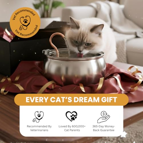 The KittySpout Stainless Steel Wireless Cat Water Fountain, 4L/108oz - color: Stainless