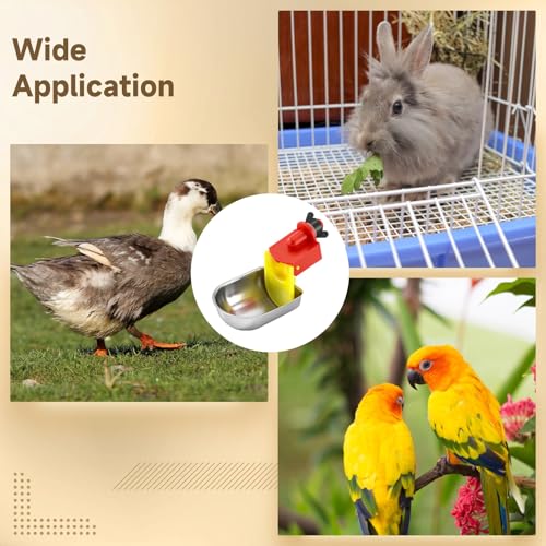 12 Pcs Automatic Chicken Water Cups, Stainless Steel Poultry Drinker Bowls, Self-Filling Waterer for Ducks, Rabbits, Geese & Quails, Fits 5 Gallon Bucket and PVC Pipe Poultry Watering System