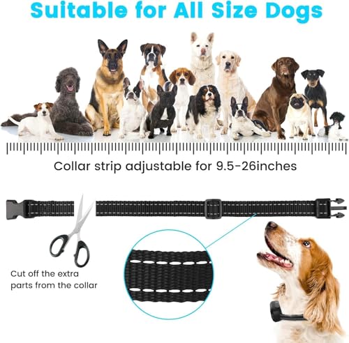 RUXAN Electric Dog Fence System, Wireless & In-Ground Pet Containment Kit with 1 Waterproof Collars, Underground Dog Fence for 1 Dogs, Basic Electric Fence for Dogs Outdoor Yard - color: BLK