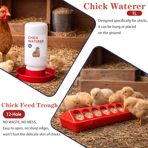 Chick Feeder and Waterer Set, 3 Pcs Baby Chicken Supplies with Chicks Feeder Trough and 1L Waterer, Chicken Starter Kit for Small Poultry Ducks Quail Coop