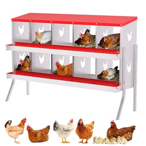 Chicken Nesting Box, 10 Compartment Metal Laying Box with Perch and Secure Lid, Sturdy Design with Metal Legs, Wall Mounted or Free Standing for Hens, Easy to Clean,Red - color: Red, size: 10 holes with legs