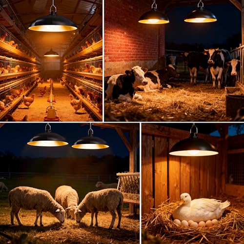 redaica Solar Chicken Coop Light with Timer, 2 Lamps & Remote 3/5/8H Chicken Coop Accessories, 3 Brightness Levels Solar Lights for Chicken Coop, Waterproof Light for Sheds Barns, Stables, Duck Houses