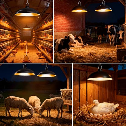 redaica Solar Chicken Coop Light with Timer, 2 Lamps & Remote 3/5/8H Chicken Coop Accessories, 3 Brightness Levels Solar Lights for Chicken Coop, Waterproof Light for Sheds Barns, Stables, Duck Houses