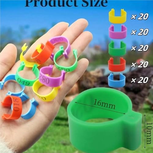 Adjustable Chicken Leg Bands 100 Pieces Chicken Leg Rings,Identification Bands,Poultry Leg Bands,Poultry Foot Rings for Pigeon Birds Chickens(Medium) - size: Medium