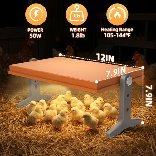 Chick Brooder Heater Plate – 12" x 8" Adjustable Height & Temperature Poultry Warmer for Up to 10 Chicks, Brooder Heating Plate for Chicks and Ducklings, Orange