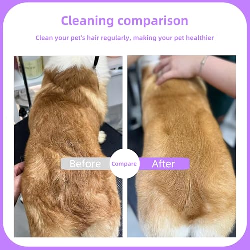 Temapex 3PCS Pet Comb for Grooming Long & Short Haired Cats & Dogs With Stainless Steel Metal Teeth for Removes Tangles & Flea, Non-Slip & Anti-Static Rubber Handle, Safe & Gentle - size: Pet Detangling Comb + Flea Comb + Grooming Comb