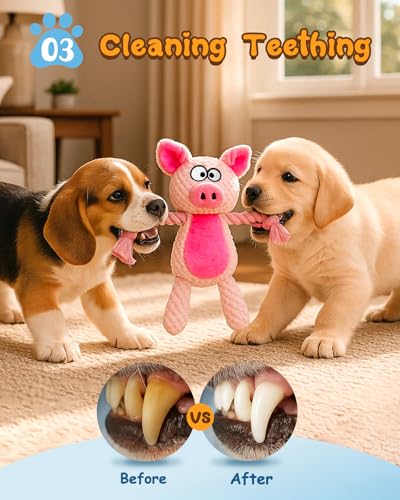 Swooflia 2 Pack Squeaky Dog Toys - Crinkle Plush Pig and Frog Toys for Puppies, Interactive and Stimulating Toy to Relieve Boredom for Small Dogs and Keep Them Busy - size: 2 pcs