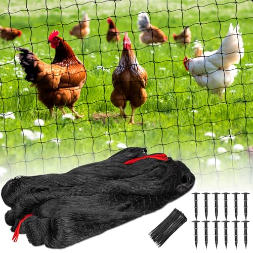 BSTPCOO Nylon Bird Netting 50'x50' with 2.4" Square Mesh Hawk Net for Chicken Run, Poultry Netting Aviary Nets Garden Bird Net for Chicken Coop Nettings Roof Hawk Proof - size: 50'×50'-2.4''