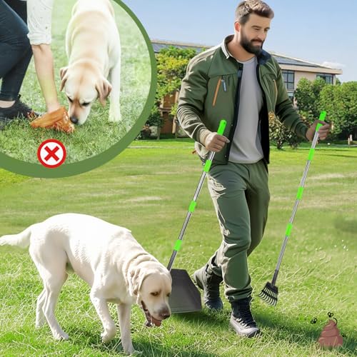 T2Y Pooper Scooper Extra Long Handle, Rake & Tray Set for Large Dogs | 48" Tall No-Bend | 9.4'' Large Tray | Stainless Steel | Adjustable | Works on Grass, Gravel & Dirt | Easy to Install - size: Rake & Large Tray-Green