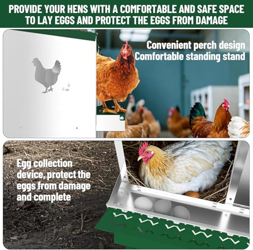 Chicken Nesting Box with 6 Compartments, Durable Metal Laying Box with Perch and Secure Lid, Versatile Wall Mounted or Free Standing Design, Easy to Clean Chicken Coop Accessory, Green