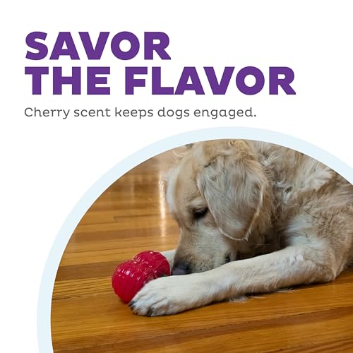 Outward Hound Gummiez Cherries Dog Toy & Treat Stuffer, 4″ x 4″ Cherry-Scent Interactive Chew for Dogs, Promote Healthy Teeth, Gums & Mental Enrichment, Reduce Boredom & Support Dental Health - color: Cherries