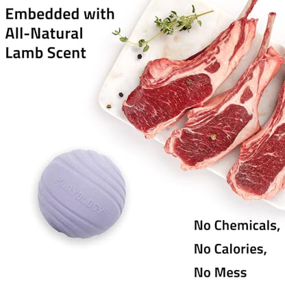 Playology Dog Toys | Dual Layer Ball Durable Chew Toy for Tough Chewers | Lamb Scented Medium Dog Toy | Chew Toys for Dogs - size: Medium, style: Lamb
