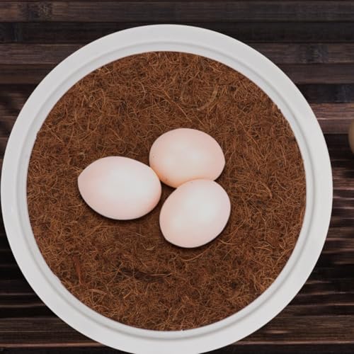 POPETPOP 4 Sets Pigeon Nest Plastic Pot Set - Durable Pigeon Nesting Bowl with Breathable Mats for Breeding and Hatching Small Birds Doves Quails, 9.44X4.72In | Breathable Durable Dove Nesting Box for Small Birds Doves Quails Pigeon Breeding and Hatching