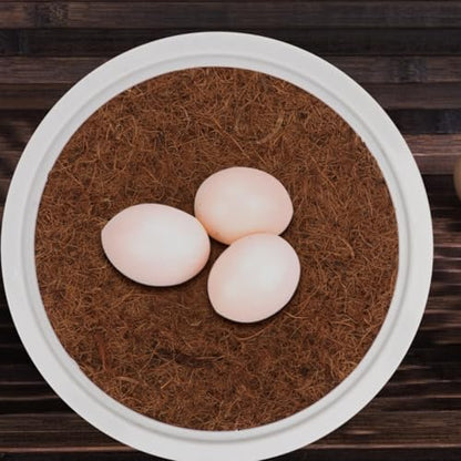 POPETPOP 4 Sets Pigeon Nest Plastic Pot Set - Durable Pigeon Nesting Bowl with Breathable Mats for Breeding and Hatching Small Birds Doves Quails, 9.44X4.72In | Breathable Durable Dove Nesting Box for Small Birds Doves Quails Pigeon Breeding and Hatching