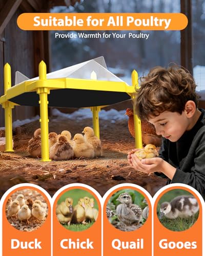 Chick Brooder Heating Plate, 14"x11"Adjustable Temperature & Height Heating Plate for Chicken with Anti-Roost Cone, Easy-Clean Poultry Coop Heater for Up to 18-22 Chicks (Yellow) - color: Yellow