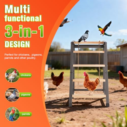 Chicken Coop Perch with Swing & Ladder for 6 to 10 Chickens