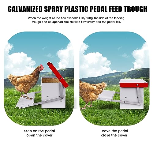 Automatic Waterer Bowl Large Horse Waterer with 15lbs 15lb Automatic Chicken Feeder Rat Proof Treadle Poultry Feeder