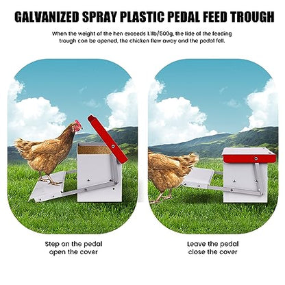 Automatic Waterer Bowl Large Horse Waterer with 15lbs 15lb Automatic Chicken Feeder Rat Proof Treadle Poultry Feeder