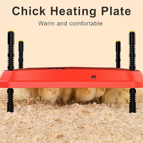 Adjustable 16x16 Brooder Heating Plate for Baby Chicks | Constant Efficient Warmth, Safe Energy-Saving, Easy to Assemble and Clean, Perfect for Chicken Brooding
