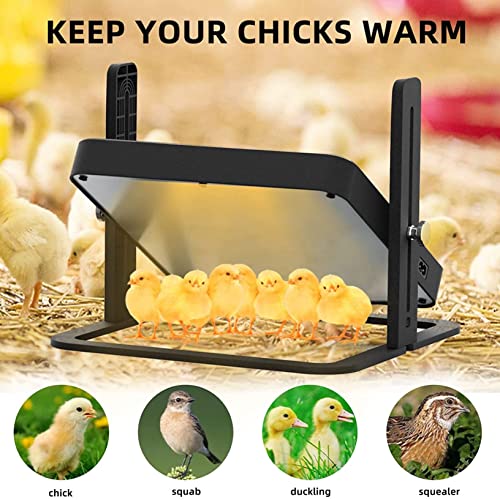 Chick Brooder Heating Plate, Brooder Heater for Chicks and Ducklings with Adjustable Height,Warms Up to 15 Chicks