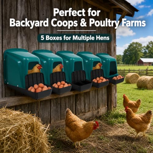 Chicken Laying Boxes, 5 Pack Roll Away Chicken Nesting Boxes, Durable Plastic Laying Boxes with Perch, Pull-Out Tray Ventilation for Hen Coops, Backyard Poultry Farms